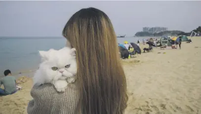  ?? Picture: AFP ?? A woman carries a cat on a beach in Sokcho, on South Korea’s northeast coast, during a public holiday long weekend.