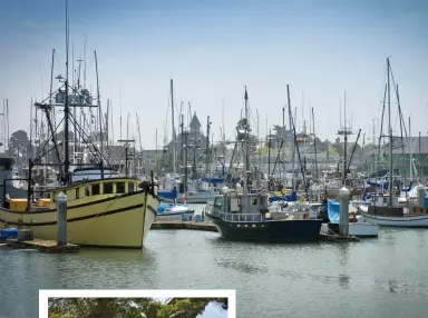  ??  ?? WOODLEY ISLAND MARINA, Humboldt Bay, top; marveling at the tall trees in Humboldt Redwoods State Park, left; scoping out the surf at Point Arena wharf, Mendocino County, bottom; Carson Mansion in historic Old Town Eureka, opposite.