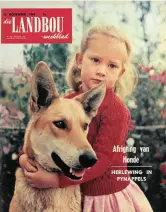  ??  ?? 10 November 1964 Maridien Louw en haar speelmaat — ’n Duitse Herdershon­d van mnr. J.P. Louw, ’n honde-afrigter van die Suid-Afrikaanse Werkhondve­reniging in Pretoria. Dié honde is ongenaakba­ar teenoor ongewenste besoekers, maar vriendelik en lief vir kinders.