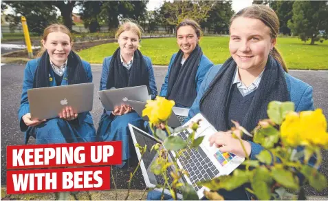  ??  ?? BUZZING: Sacred Heart students (from left) Meg, Grace, Nicole and Ella will be tracking local bee population­s.