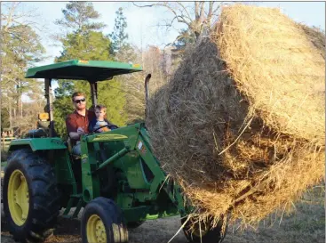  ?? Kevin Myrick / SJ ?? Farmer of the Year Bennett Jacobs and his son Nolan take hay to the cows during a recent afternoon at their Rockmart-area beef cattle farm.