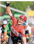  ?? FOTO: DPA ?? André Greipel gewann 2015 die letzte Etappe der Tour de France.