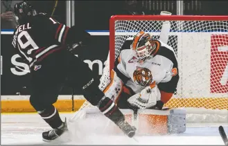  ?? NEWS FILE PHOTO RYAN MCCRACKEN ?? Medicine Hat Tigers goaltender Garin Bjorklund makes a save on Red Deer Rebels forward Josh Tarzwell during a Western Hockey League game at the Canalta Centre on Tuesday, March 10, 2020. The Tigers and Rebels will meet up to opened a shortened 24-game WHL season on Feb. 26 in Red Deer.