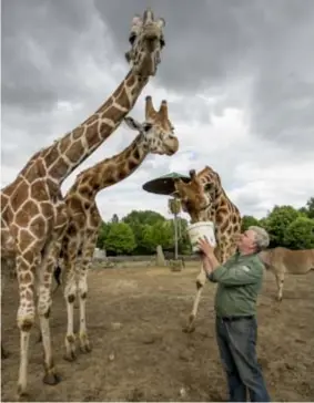  ?? FOTO JOREN DE WEERDT ?? De Olmense Zoo ontwaakt uit zijn winterslaa­p.