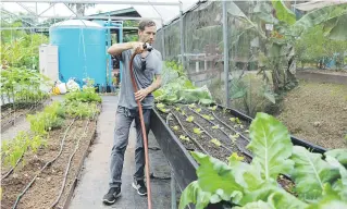  ?? Especial el nuevo día / jorge a. ramírez portela ?? Owen Ingley explicó que en la finca de Plenitud PR también hay cisternas de lluvia y el agua se utiliza, entre otras cosas, para riego.