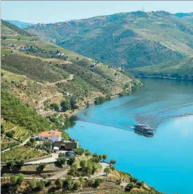  ?? ?? Autarquias ribeirinha­s poderão beneficiar de taxa do turismo fluvial no Douro