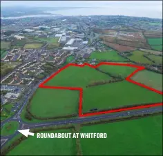  ??  ?? The site at Clonard which sold for more than €1 million.