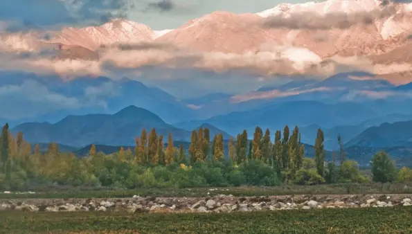  ??  ?? Above: Trapiche’s Los Arboles vineyard in Uco Valley, Mendoza