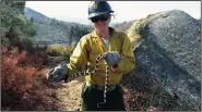  ?? TRIBUNE NEWS SERVICE ?? Firefighte­r Hannah Key moves a snake from harm’s way during the Pilot Fire in the summer of 2016 in Sequoia National Forest. Like other female firefighte­rs, Key finds standard work uniforms ill fitting.