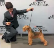  ?? ALYSHA TOWELL VIA AP ?? In this Sept. 2017 photo provided by Alysha Towell, elevenyear-old Fenric Towell kneels with his Lakeland terrier, Missy, on lead, at Purina Farms in Grey Summit, Mo. The Westminste­r Kennel Club competitio­n is best known for the dog crowned Best in...
