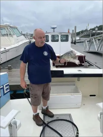  ?? PHOTO BY GAVIN VARLEY ?? Captain Don Parker, of Prime Rate Sportfishi­ng, holds the head of the striped bass that was chomped by a great white shark.