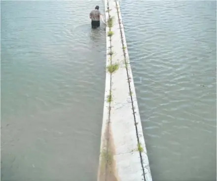  ?? Brendan Smialowski, Afp/getty Images ?? A truck driver walks while checking the depth of an underpass last Monday in Houston.