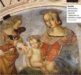  ?? FOTO ANSA ?? In arte Pinturicch­io Bartolomeo Caporali, “Madonna col bambino e angeli”