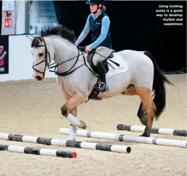  ??  ?? SPRING 2020
Using trotting poles is a great way to develop rhythm and suppleness