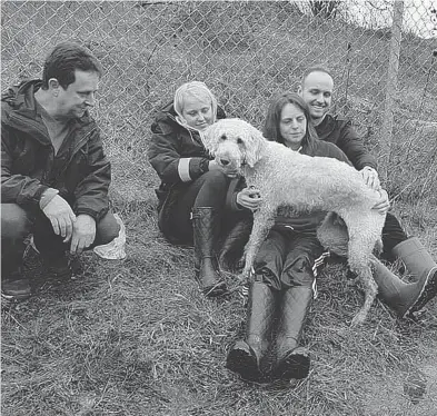  ?? PHOTO COURTESY TERRI PITTMAN ?? Owner Terri Pittman holds Cooper, a Labradoodl­e from the East Coast who went missing in Hamilton for nearly two days after being placed on a wrong flight.