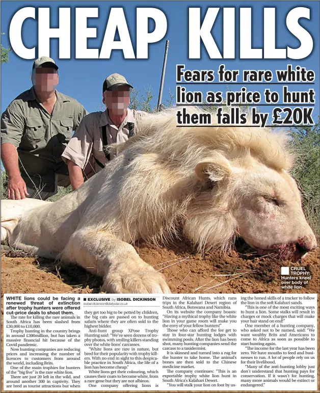  ??  ?? CRUEL TROPHY: Hunters kneel over body of white lion