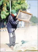  ?? MOHAMMED ABED/AFP ?? A Palestinia­n man sifts wheat on a street in Gaza City on July 7.