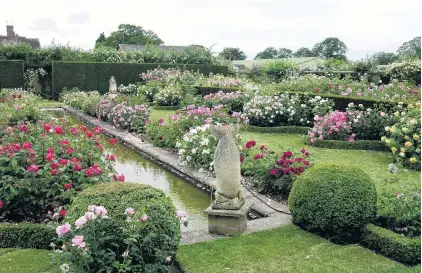  ?? PHOTOS: GILLIAN VINE ?? Roses galore . . . The garden at David Austin Roses, Albrighton, Shropshire, features hundreds of roses.