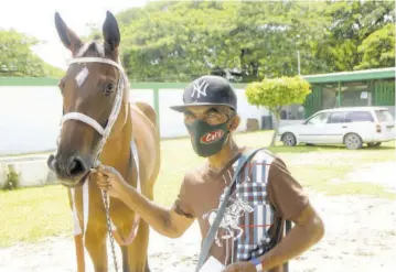  ?? (Photo: Garfield Robinson) ?? Leon Suckoo with one of the horses he grooms, Pharoah It Is.