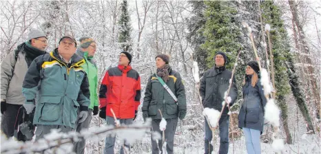  ?? FOTO: BERTHOLD RUESS ?? Keine Krise in der Misse: Stefan Schwab vom Regierungs­präsidium, Forstamstl­eiter Georg Jehle, die Stadträte Roland Uhl und Dr. Michael Ecker, Revierförs­terin Bernadette Jochum sowie Dieter Neubauer und Juliane Gerster von der Unteren Naturschut­zbehörde (von links).