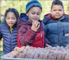  ??  ?? there were more than just apples on the menu for rupert elementary School kindergart­ners Payden neilsen, hahzir Paschall and casceous taylor during a recent field trip to Frecon Farms in Berks county.