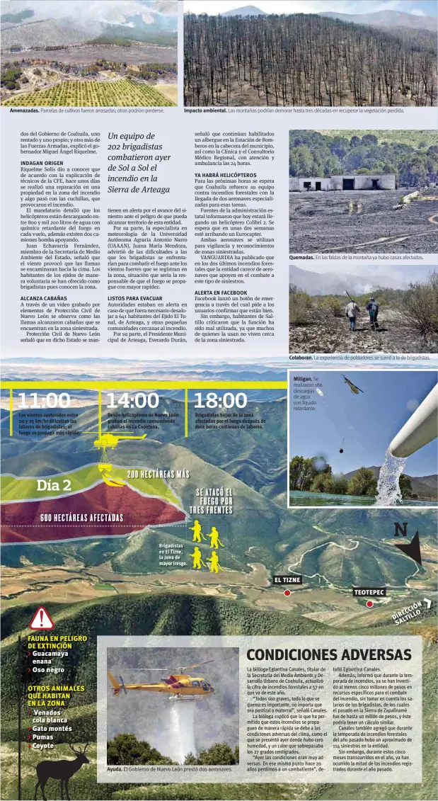  ??  ?? Amenazadas. Parcelas de cultivos fueron arrasadas; otras podrían perderse. Impacto ambiental. Las montañas podrían demorar hasta tres décadas en recuperar la vegetación perdida. Ayuda. El Gobierno de Nuevo León prestó dos aeronaves. Quemadas. En las...