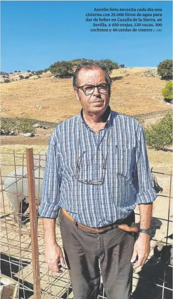  ?? // ABC ?? Aurelio Soto necesita cada día una cisterna con 25.000 litros de agua para dar de beber en Cazalla de la Sierra, en Sevilla, a 450 ovejas, 120 vacas, 300 cochinos y 40 cerdas de vientre