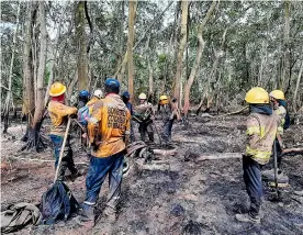  ?? ARCHIVO ?? Bomberos y voluntario­s que controlaro­n el incendio registrado en agosto.