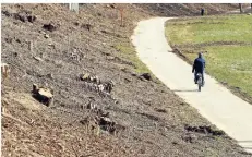  ?? FOTO: MISERIUS (ARCHIV) ?? Der Radweg von Wiesdorf nach Rheindorf bleibt weiter gesperrt.