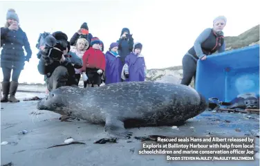  ?? STEVEN McAULEY/McAULEY MULTIMEDIA ?? Rescued seals Hans and Albert released by Exploris at Ballintoy Harbour with help from local schoolchil­dren and marine conservati­on officer Joe Breen