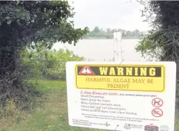  ?? TIMOTHY B. WHEELER/BALTIMORE SUN ?? The state posts signs warning people not to swim when algae blooms are visible. Overuse of nitrogen on lawns contribute­s to Chesapeake Bay pollution and harmful algae blooms.