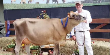  ??  ?? Handler Wayne Kuhne parades his heifer in milk born 2016 first place getter Bushlea Val Kookie. The Kuhne family also won Reserve Senior Champion.
