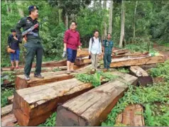  ?? FACEBOOK ?? O’Chum district authoritie­s pose amid a stash of first-grade timber they believe was temporaril­y left behind by illegal loggers.