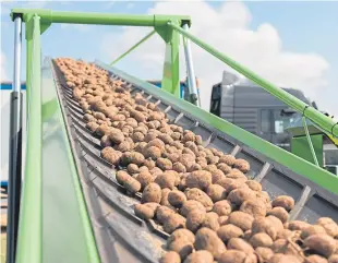  ??  ?? Potato storage advice was delivered by John Hutchinson and Ewan Stark. Growers experienci­ng problems are advised to contact the AHDB