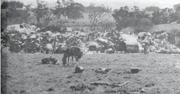  ??  ?? This was one of the scenes Warragul Shire councillor­s saw when they visited the Tarwin St tip in May 1970. A resident of the street near the tip complained that the area was a health hazard, with rats and vermin infestatio­n rapidly increasing. Council responded that it hoped the tip would be closed in 12 months. The site was later filled and is now Western Park Recreation Reserve.