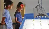  ?? BOB ANDRES / ROBERT.ANDRES@AJC.COM ?? Brooke Carter, 8, (left) and Mackenzie Jones, 6, check on their class’ aquaponics project. They are growing lettuce without using soil at SAE School in Mableton.