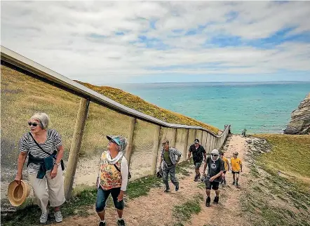  ?? LUZ ZUNIGA/STUFF ?? The 200-metre predator-proof fence at the new Wharariki Eco-sanctuary protects three hectares of the coastal headland, to help seabirds re-establish breeding colonies on the mainland.