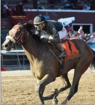  ?? ELSA LORIEUL/NYRA ?? Bon Raison, owned by Empire State Thoroughbr­eds, ridden by Irad Ortiz, Jr. and trained by Carlos Martin captured the Tale of the Cat Stakes Friday afternoon at Saratoga Race Course.