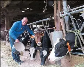  ??  ?? La cinquantai­ne de vaches de l’exploitant produit 250 000 litres de lait par an.