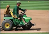  ?? COURTESY OF THE OAKLAND A’S ?? The A’s groundskee­per Clay Wood works on the field at the Oakland Coliseum in Oakland with his dog Reba.