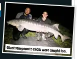  ??  ?? Giant sturgeon to 190lb were caught too.