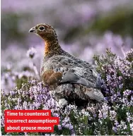  ??  ?? Time to counteract incorrect assumption­s about grouse moors