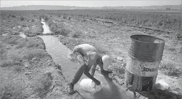  ??  ?? DANIAL MIRAKHOURI, 14, helps his father on their family’s two-acre homestead. The family used to farm watermelon, but switched to growing barley and geneticall­y modified cotton because they require less water.