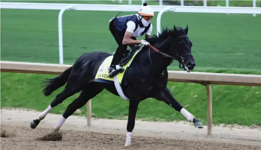  ?? JONATHAN DANIEL/GETTY IMAGES ?? Zandon, the 3-1 favorite to win, runs on the track during morning training for the Kentucky Derby on April 29 at Churchill Downs.