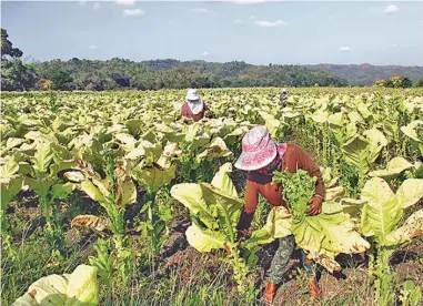  ??  ?? (Freddie G. Lazaro/ Manila Bulletin)