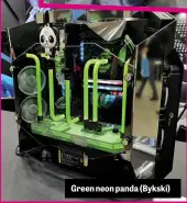  ??  ?? Green neon panda (Bykski)