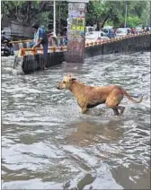  ??  ?? Flooding is yet to claim lives in Delhi. But every time it pours, the city comes to a halt. S. BURMAULA/HT