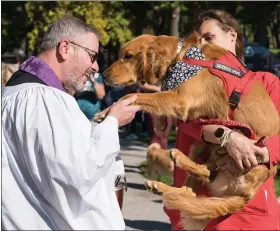  ?? PHOTO COURTESY OF AMY M. SCHWAB PHOTOGRAPH­Y ?? Washington Memorial Chapel Rector Father Tommy Thompson shakes “hands” with a therapy dog before the blessing.