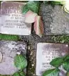  ??  ?? Die Stolperste­ine für Erna Tittel und Flora Cohn in der RudolfBrei­tscheidt-Straße .