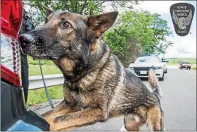  ?? SUBMITTED ?? In 2017, OHP K-9s helped seize over 52 million worth of contraband from Ohio’s roadways.